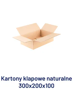 Karton klapowy 300x200x100 mm